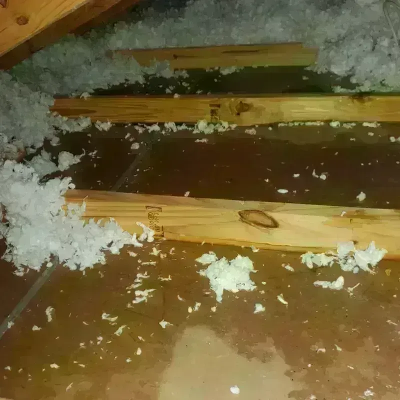 Attic Water Damage in Woodlawn, IL