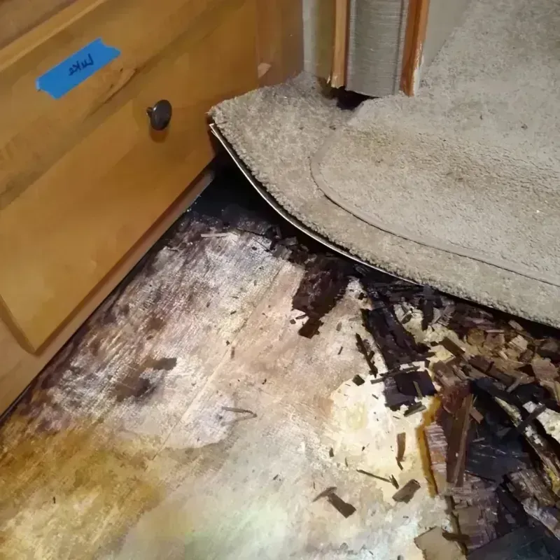 Wood Floor Water Damage in Woodlawn, IL